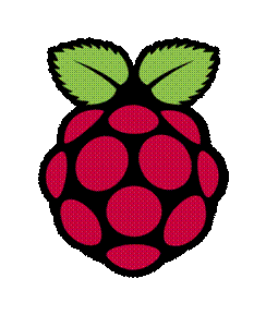 raspberry-pi-logo-1-600x711.png